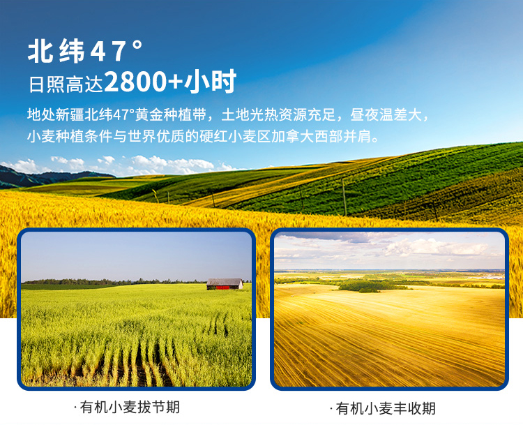 新疆拉条子20230222_10.jpg